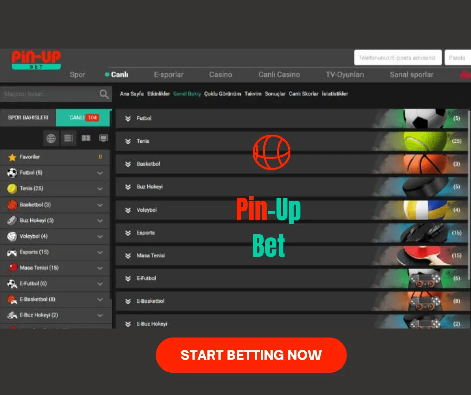 pin up bet india - how to start